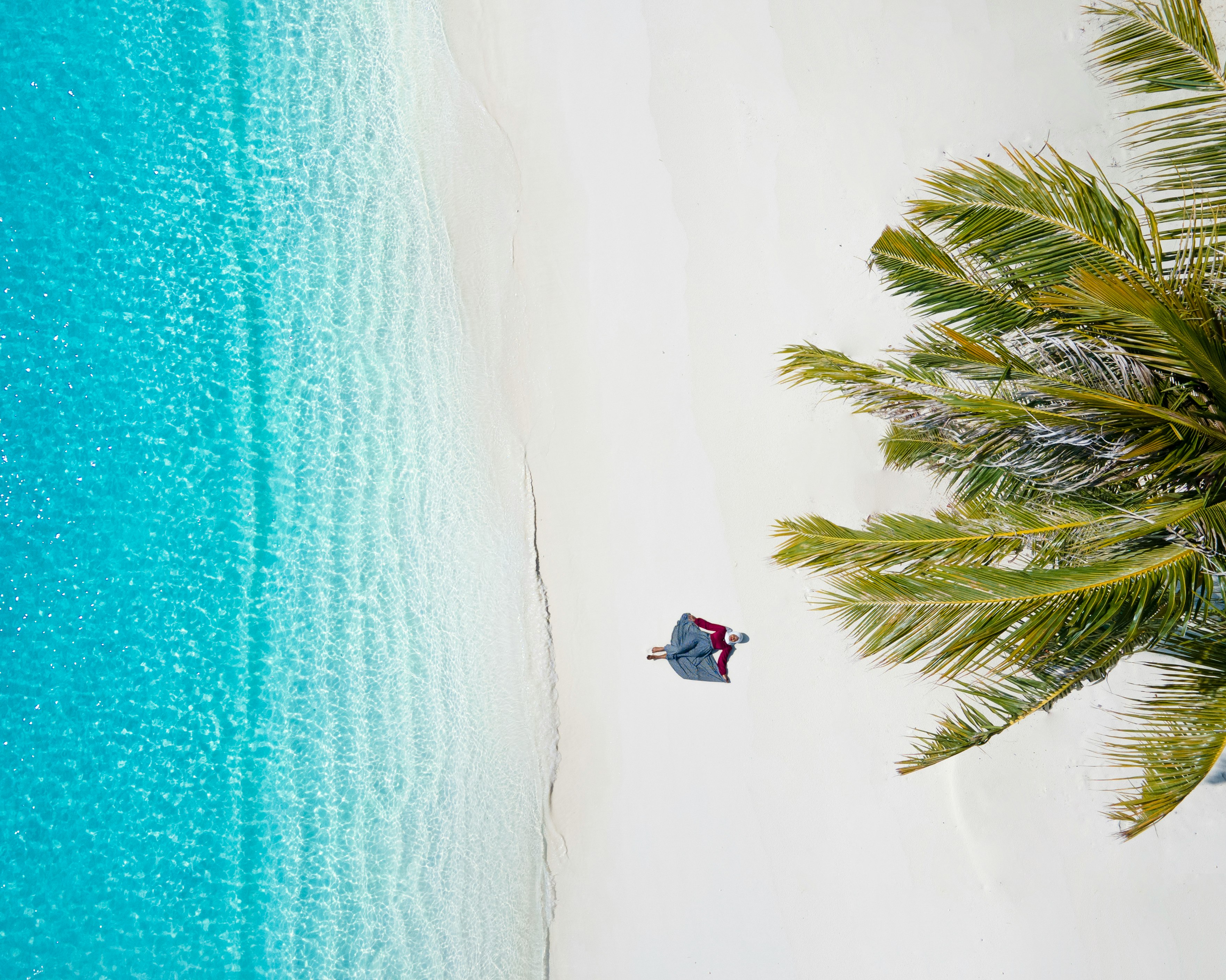 green palm tree on white sand